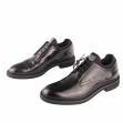 Дербі TOD'S